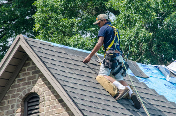 Best Metal Roofing Contractor  in Minnehaha, WA